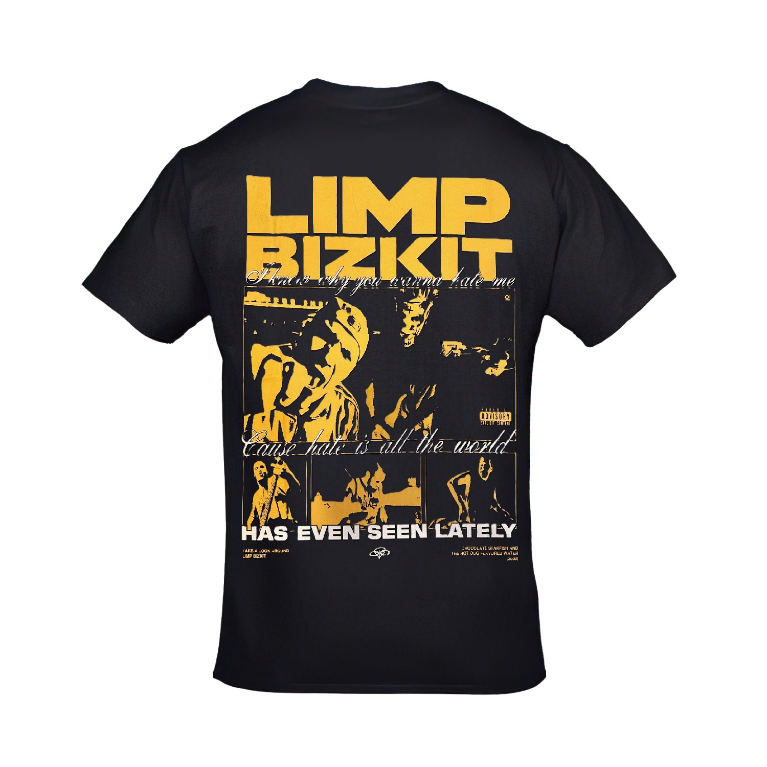 Limp Bizkit Take A Look Around Ön Arka Baskılı Unisex Siyah Tshirt